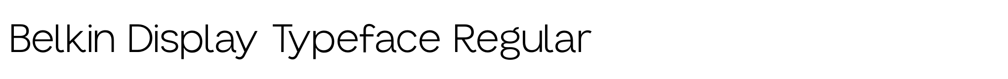 Belkin Display Typeface Regular image